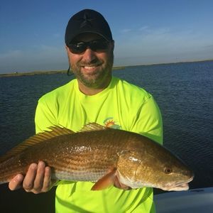 Meet your Posher, Greg